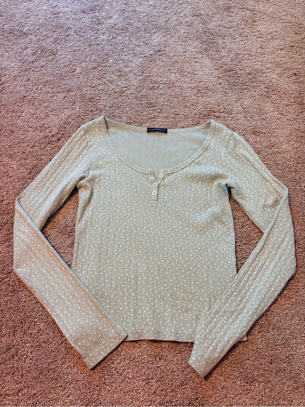 Brandy Melville Light Sage Green Long-Sleeve Henley Top